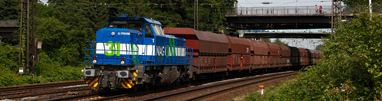 Niag 31